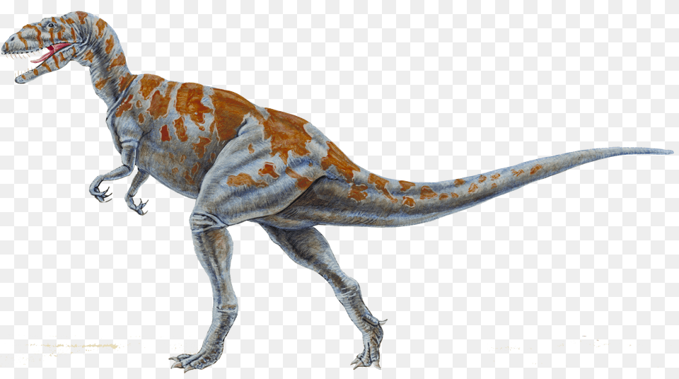 Transparent Dinosaur Megalosaurus Huge Freebie Download Megalosaurus, Animal, Reptile, T-rex Png Image