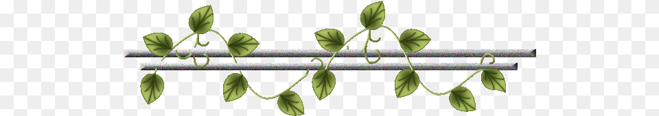 Transparent Dividers Plant Separadores Gif, Leaf, Vine Png