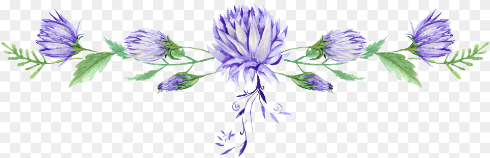 Transparent Dividing Line Flowers Watercolor Line, Flower, Plant, Purple, Petal Free Png Download