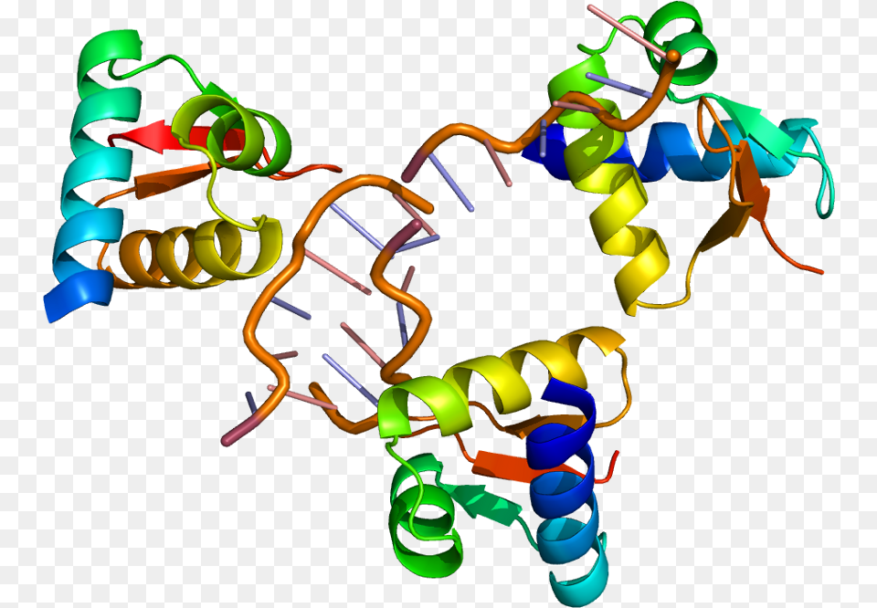 Transparent Dna Clipart Protein Structure No Background, Art, Graphics Png