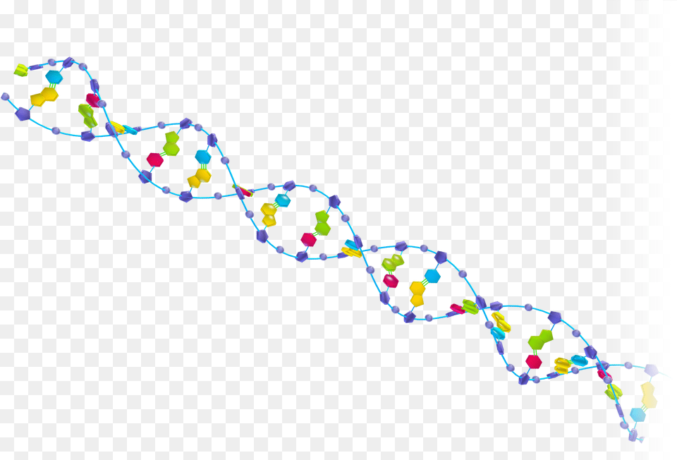 Dna Helix Dna Discovery, Accessories, Jewelry, Necklace, Pattern Free Transparent Png