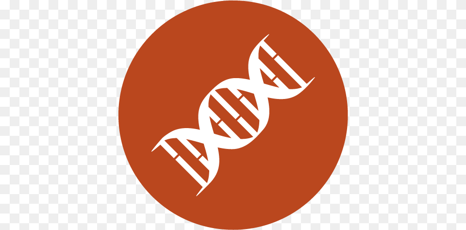 Transparent Dna Logo Design Picture Icon, Disk Png