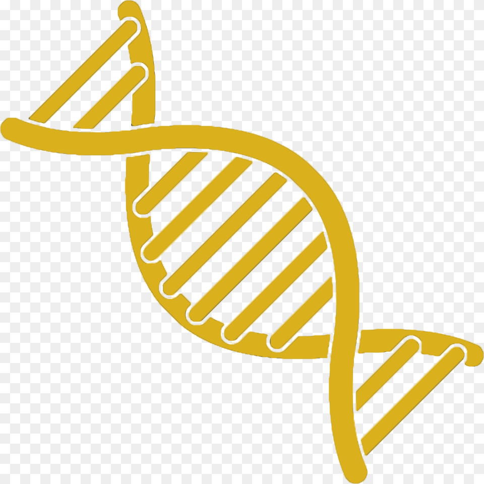 Transparent Dna Strand Clipart Clipart Dna, Yellow, Ammunition, Grenade, Weapon Free Png Download