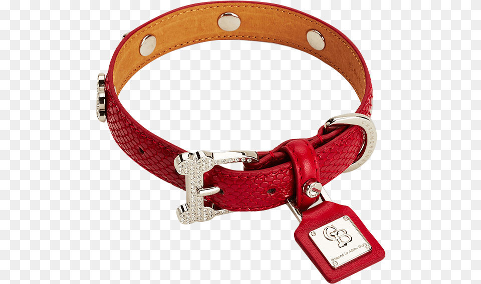 Transparent Dog Accessories, Collar, Bracelet, Jewelry, Bag Png