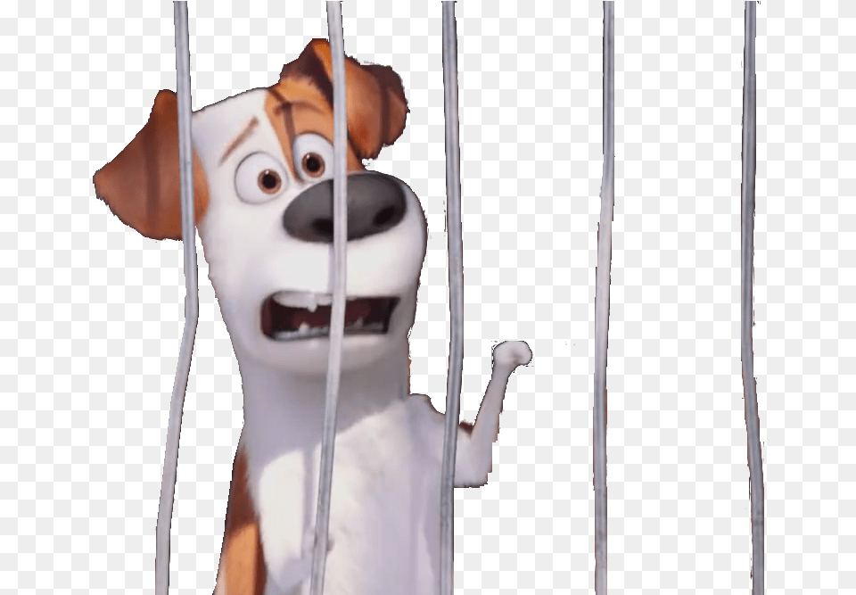 Dog Cage Secret Life Of Pets Dog Pound, Adult, Female, Person, Woman Free Transparent Png