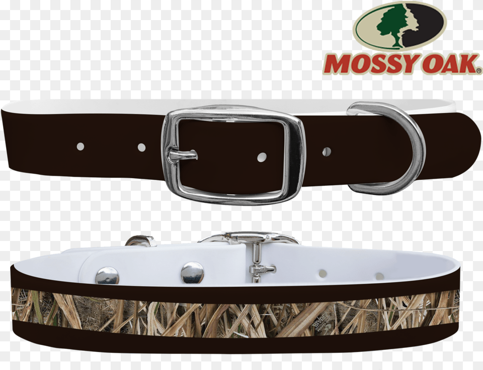 Transparent Dog Collar, Accessories, Buckle, Belt, Smoke Pipe Png
