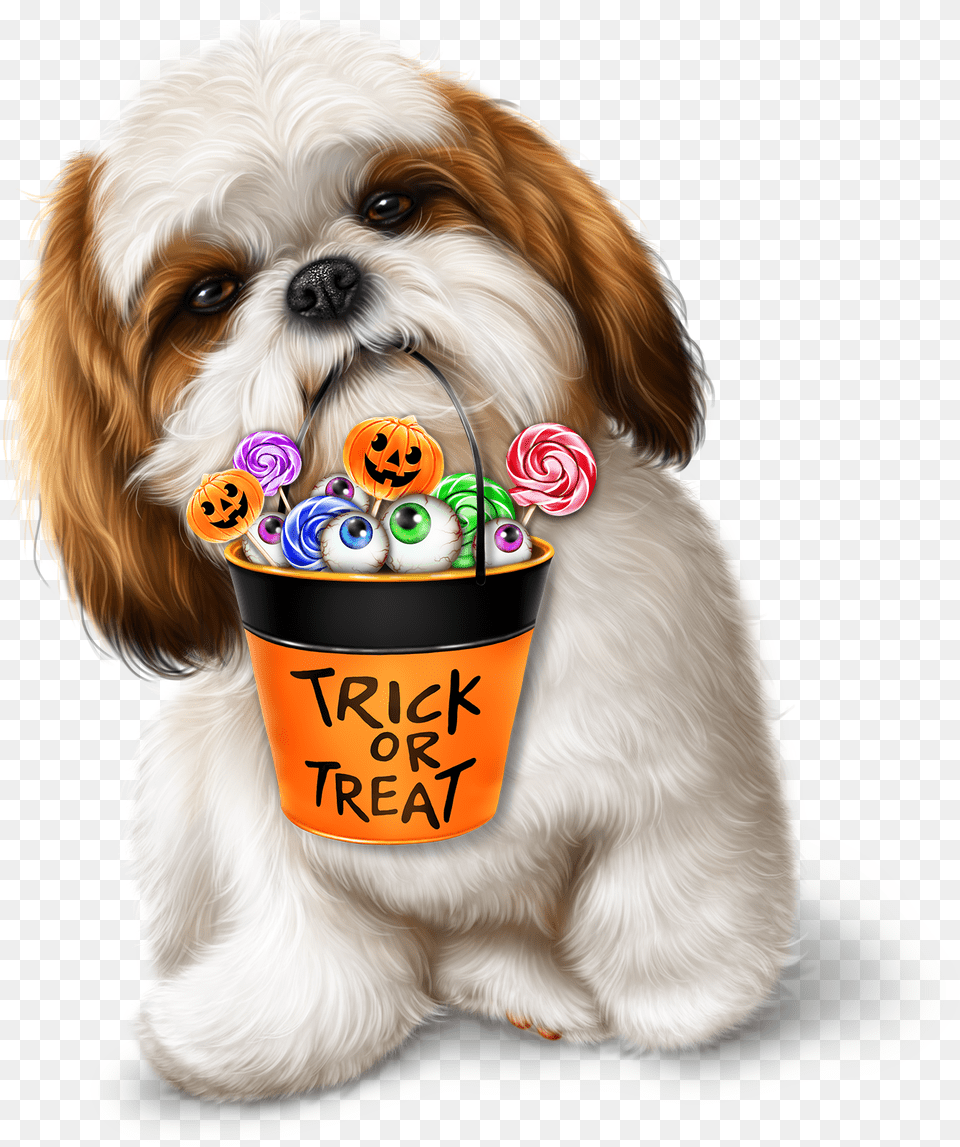 Transparent Dog Drawing Halloween Dog, Animal, Canine, Mammal, Pet Png Image