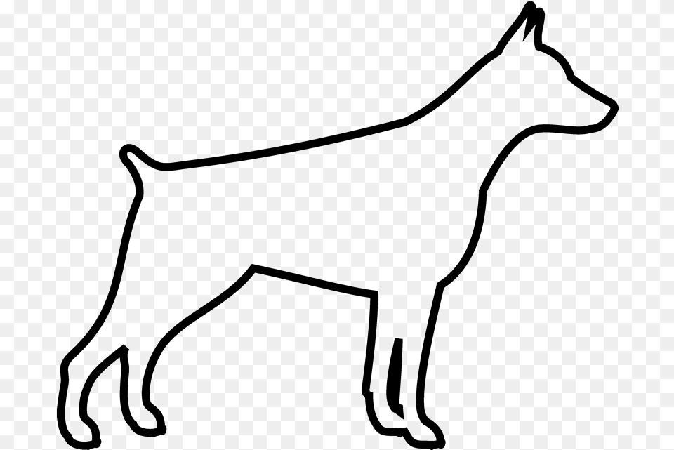 Transparent Dog Outline, Silhouette, Animal, Coyote, Mammal Png