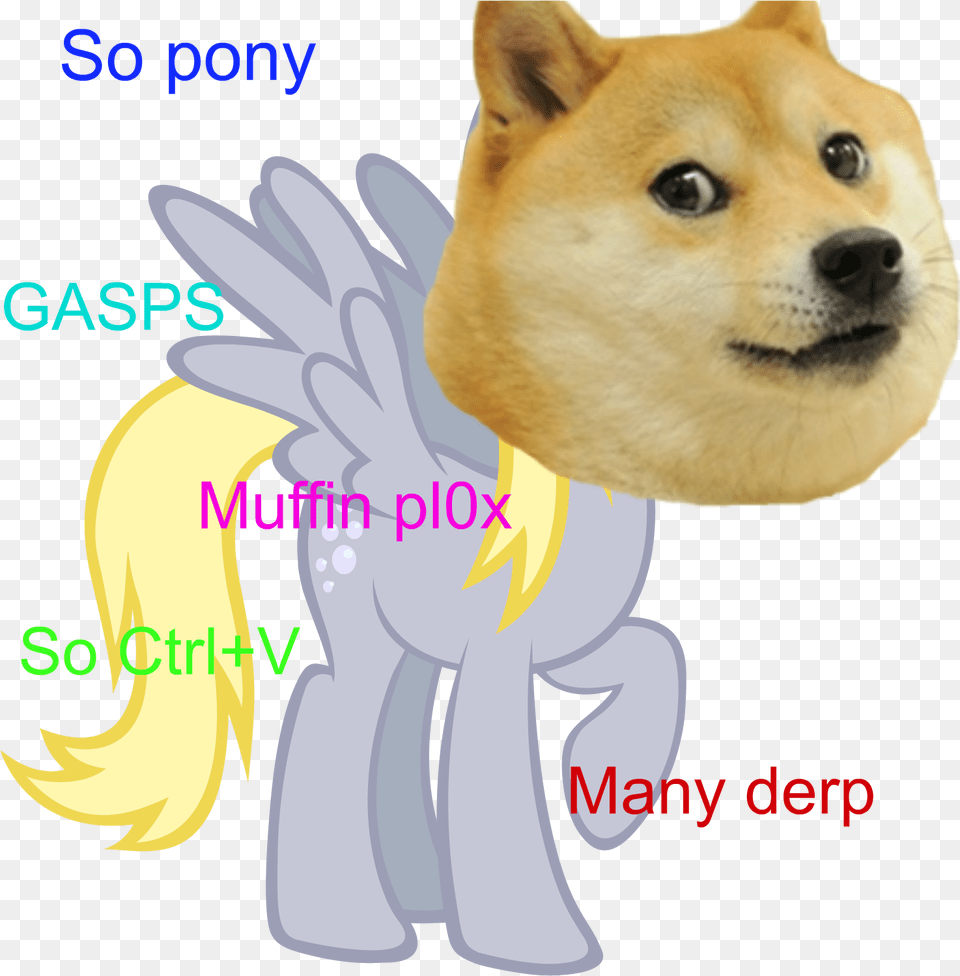 Transparent Doge, Doctor, Person, Animal, Canine Png