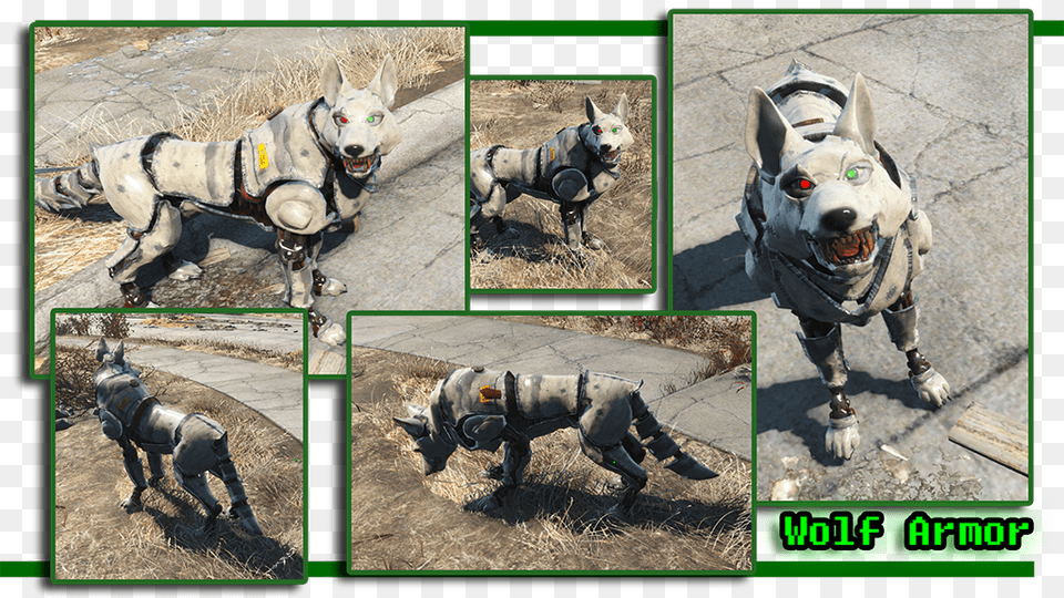 Transparent Dogmeat, Collage, Art, Mammal, Dog Png