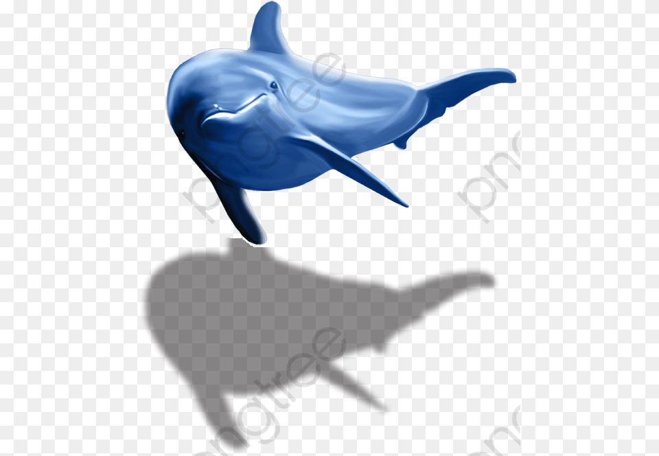 Transparent Dolphins Clipart Dolphin, Animal, Mammal, Sea Life, Fish Free Png