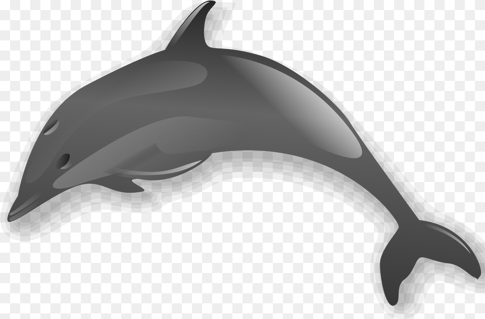 Transparent Dolphins Clipart Dolphin Clip Art, Animal, Mammal, Sea Life, Fish Free Png