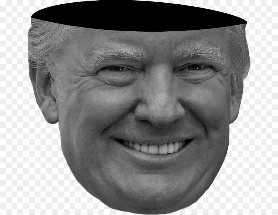 Transparent Donald Trump Head Donald J Trump 2017, Adult, Smile, Portrait, Photography Free Png Download