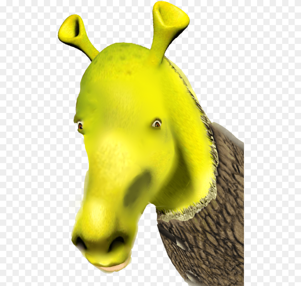 Donkey From Shrek, Animal, Bird Free Transparent Png