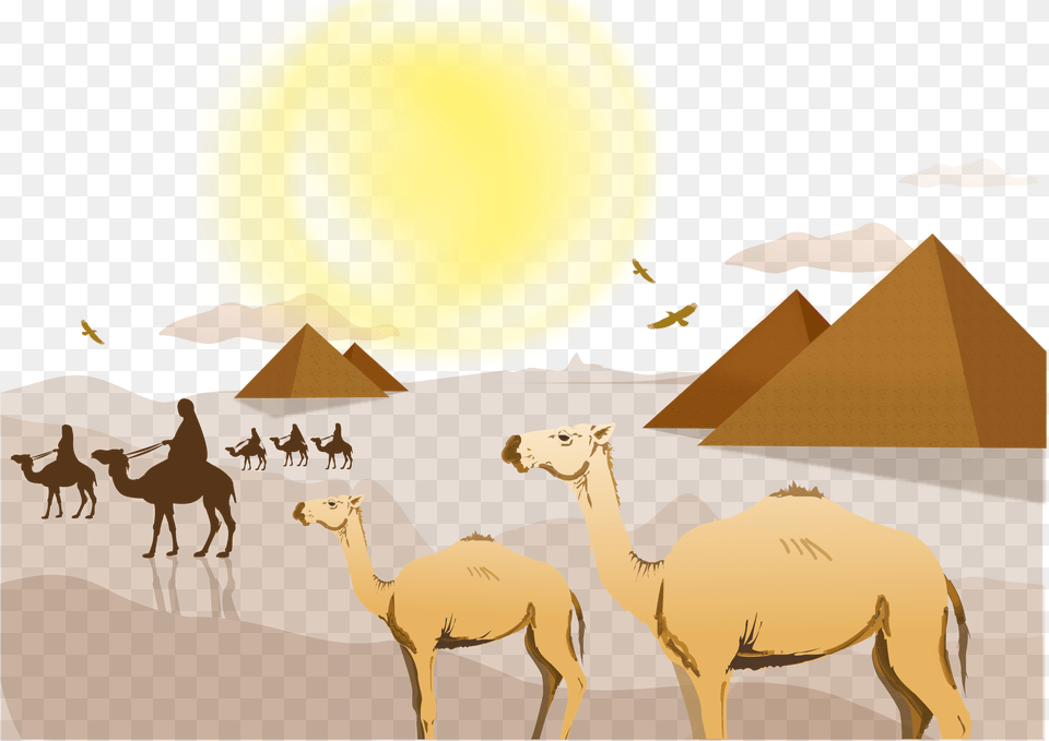 Transparent Camel Vector Sahara Desert, Animal, Mammal, Horse Free Png Download