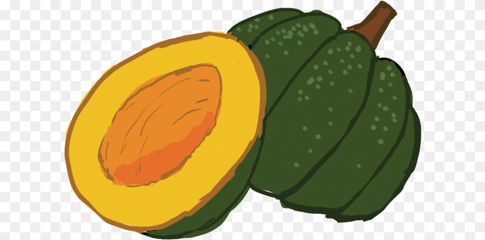 Transparent Collection Of Acorn High Quality Acorn Squash Clipart, Food, Fruit, Plant, Produce Free Png Download