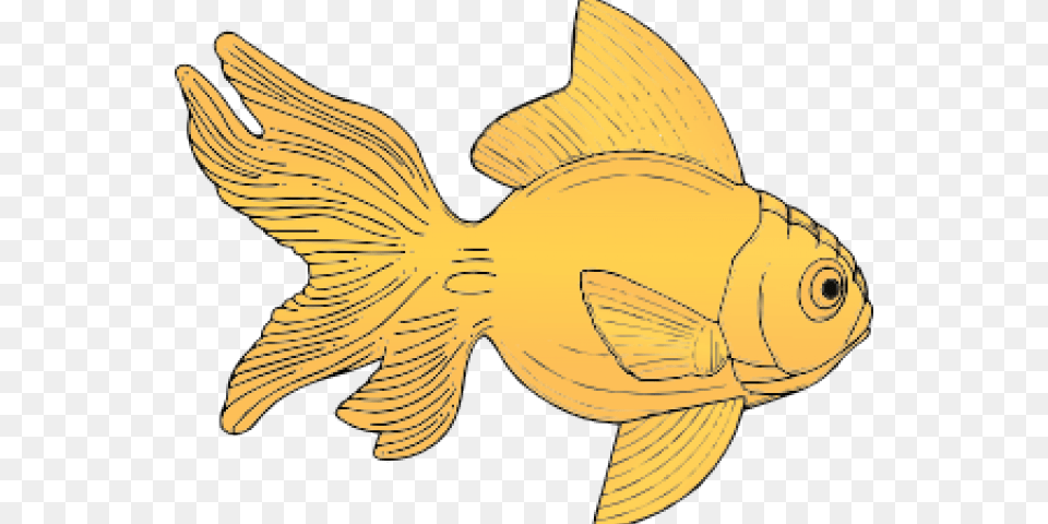 Transparent Dr Seuss Fish Clipart Gold Fish Clip Art, Animal, Sea Life, Baby, Person Png