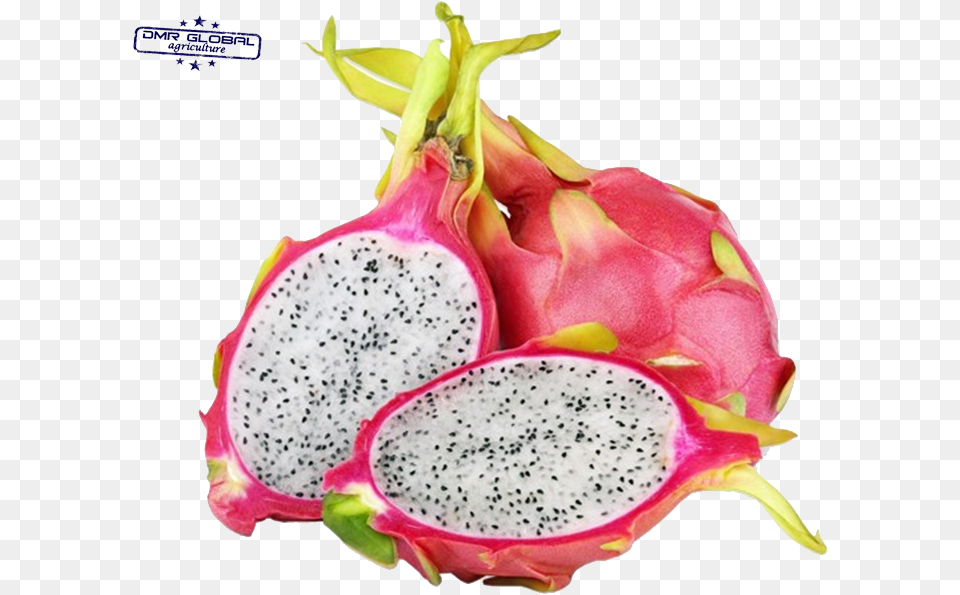 Dragon Fruit, Food, Plant, Produce Free Transparent Png