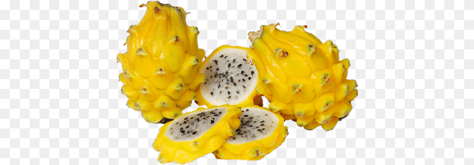 Transparent Dragon Fruit Pitaya Pitahaya Yellow, Food, Plant, Produce Free Png Download