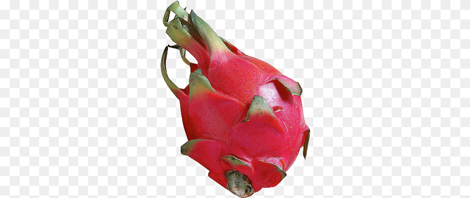 Transparent Dragon Fruit Pitaya Pitaya Transparent, Food, Plant, Produce Png Image