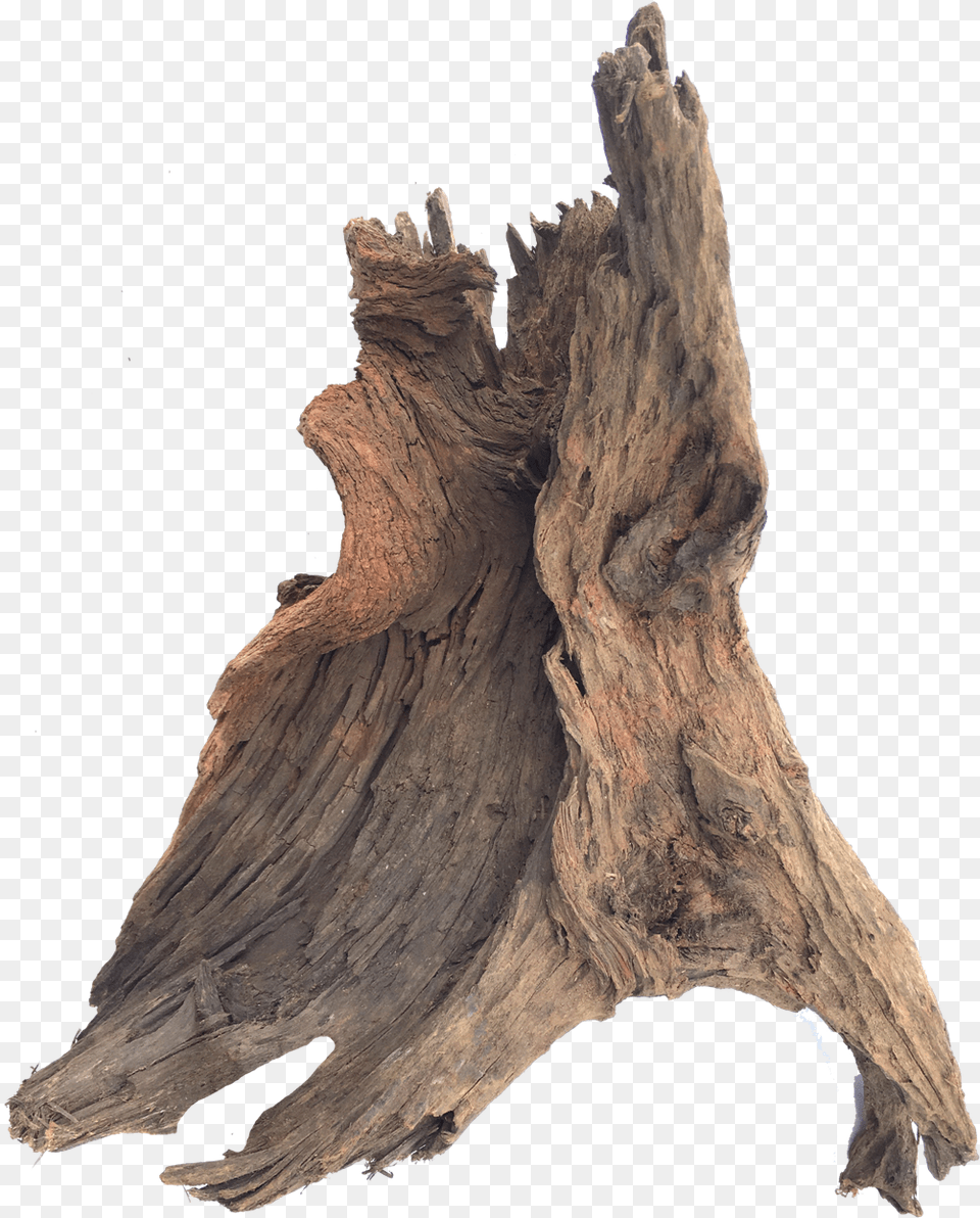 Transparent Driftwood Driftwood Transparent Background, Plant, Tree, Wood, Tree Stump Png