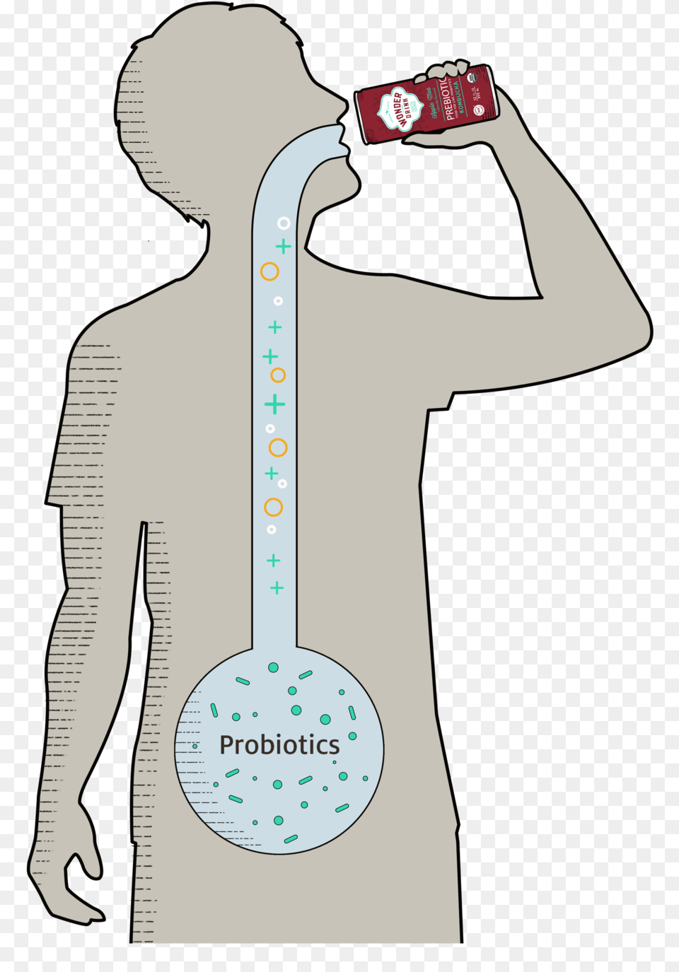 Transparent Drinking Cartoon, Chart, Cutlery, Spoon, Plot Png