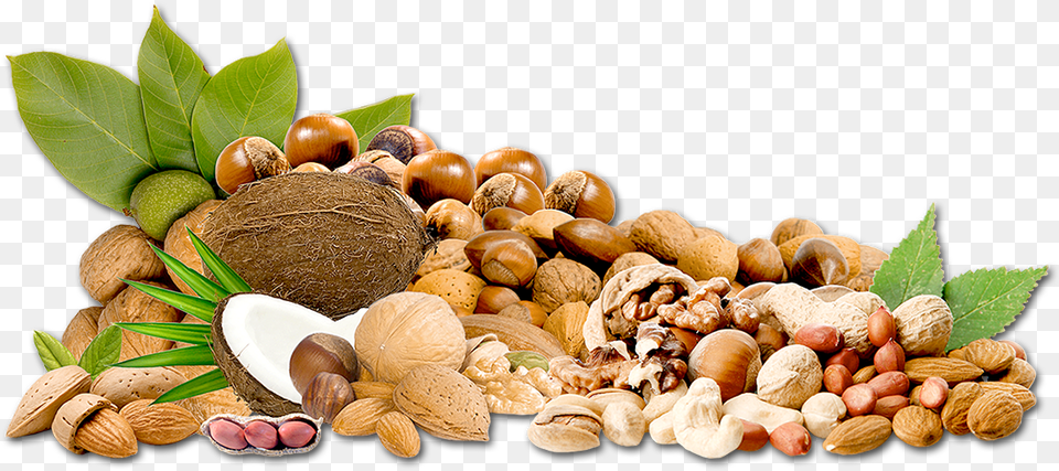 Transparent Dry Fruits, Food, Nut, Plant, Produce Free Png Download