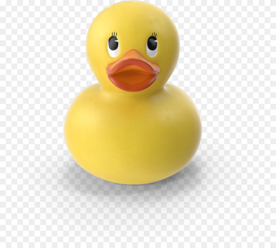 Transparent Duck Bill Duck, Animal, Bird Free Png Download