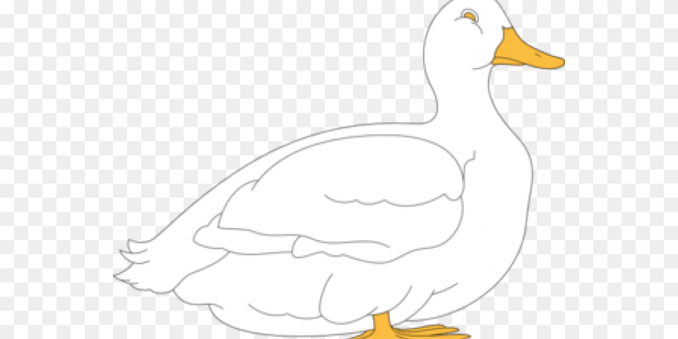Transparent Duck Clipart Black And White, Animal, Bird, Goose, Waterfowl Png