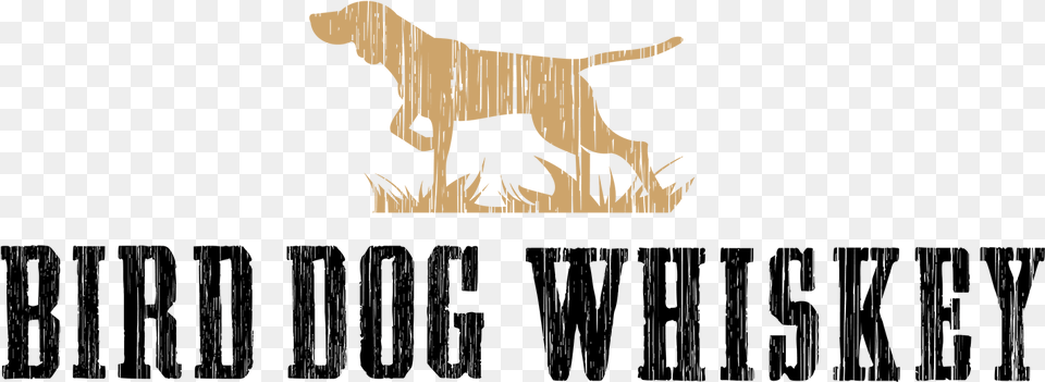 Transparent Duck Hunt Dog Bird Dog Whiskey, Animal, Canine, Mammal, Pet Png Image