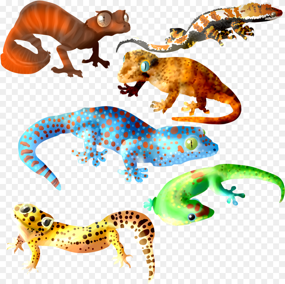 Transparent Dust Mask Clipart Cute Leopard Gecko Art, Animal, Lizard, Reptile, Dinosaur Free Png
