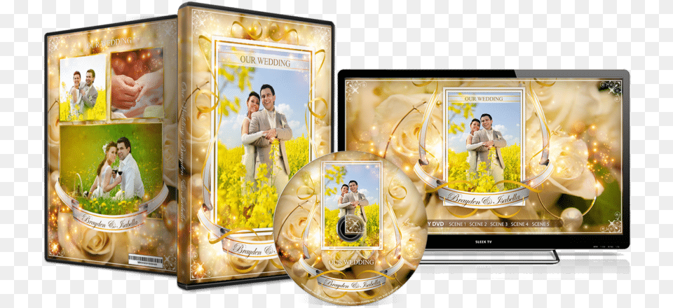 Transparent Dvd Cover Art, Person, Disk, Computer, Electronics Png Image