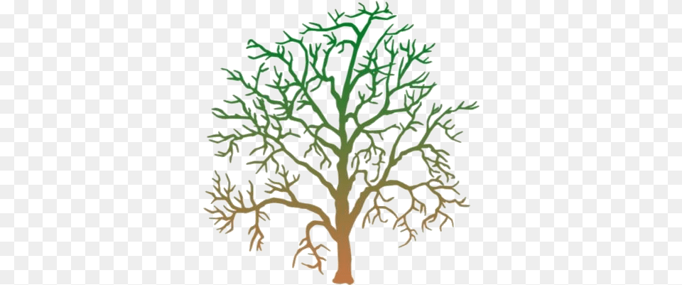 Transparent Dying Tree Silhouette Clip Art Halloween Week, Plant Free Png Download