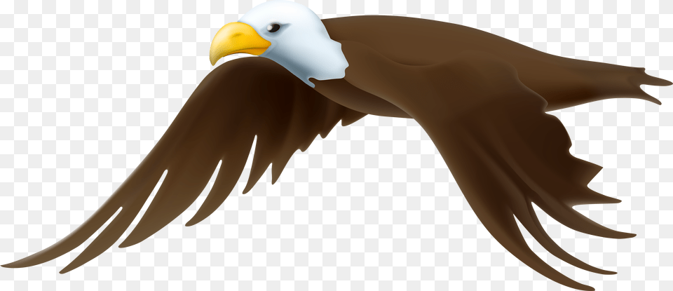 Eagle Clip Art, Animal, Beak, Bird, Flying Free Transparent Png