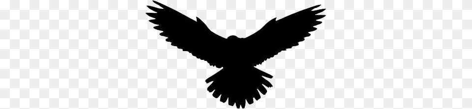 Transparent Eagle Flying Silhouette Eagle Flying Hawk, Animal, Bird, Blackbird, Accessories Png Image
