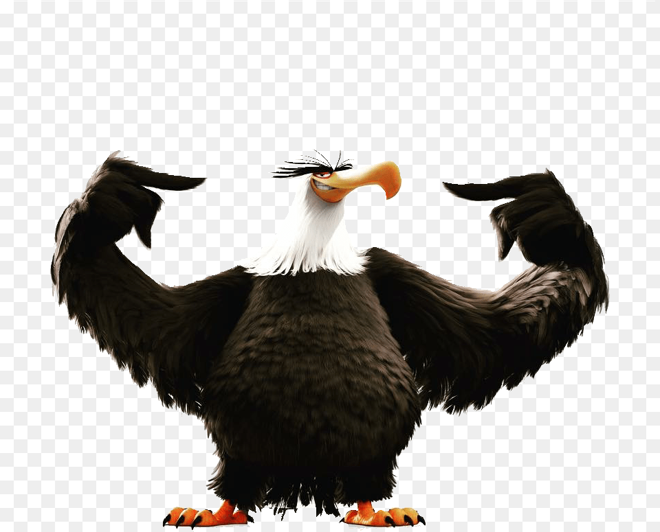 Transparent Eagle Head Clipart Angry Birds 2 Eagle, Animal, Beak, Bird Free Png Download
