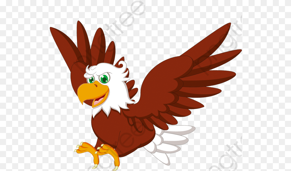 Transparent Eagle Head Vector Cartoon Eagle Clipart, Animal, Beak, Bird, Fish Free Png Download
