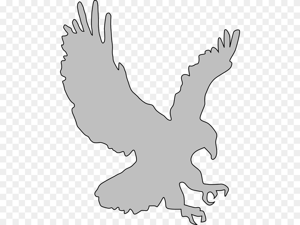 Transparent Eagle Outline Eagle Outline Transparent Background, Baby, Person, Silhouette, Animal Free Png