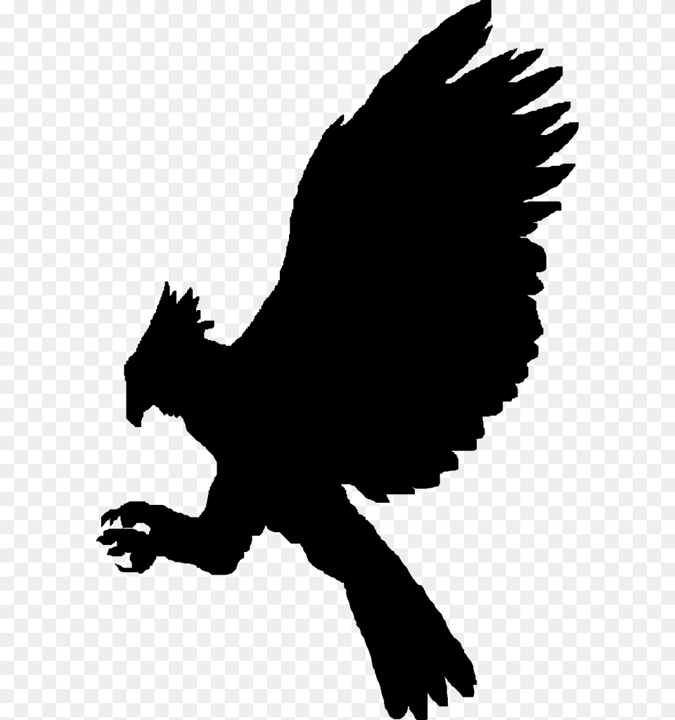 Transparent Eagle Silhouette Philippine Eagle Vector, Gray, Lighting Free Png Download