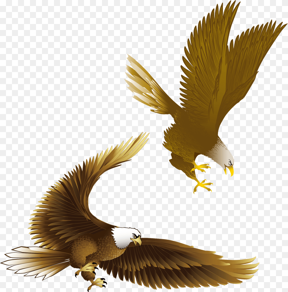 Transparent Eagle Symbol Drawing Eagle, Animal, Bird, Flying, Vulture Free Png