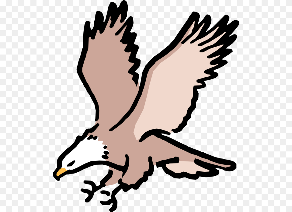 Transparent Eagle Vector American Bald Eagle Cartoon, Animal, Bird, Flying, Person Free Png Download