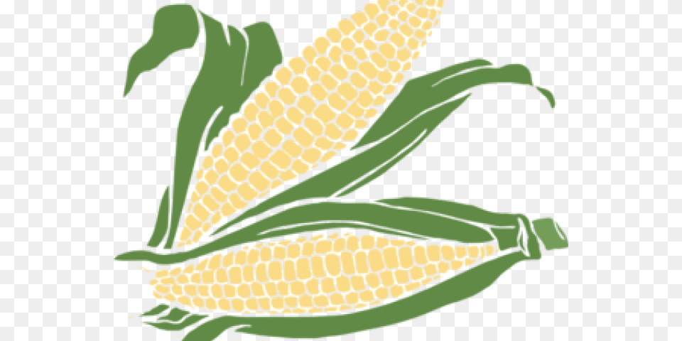 Transparent Ear Clip Art Corn Clipart Transparent Background, Food, Grain, Plant, Produce Free Png