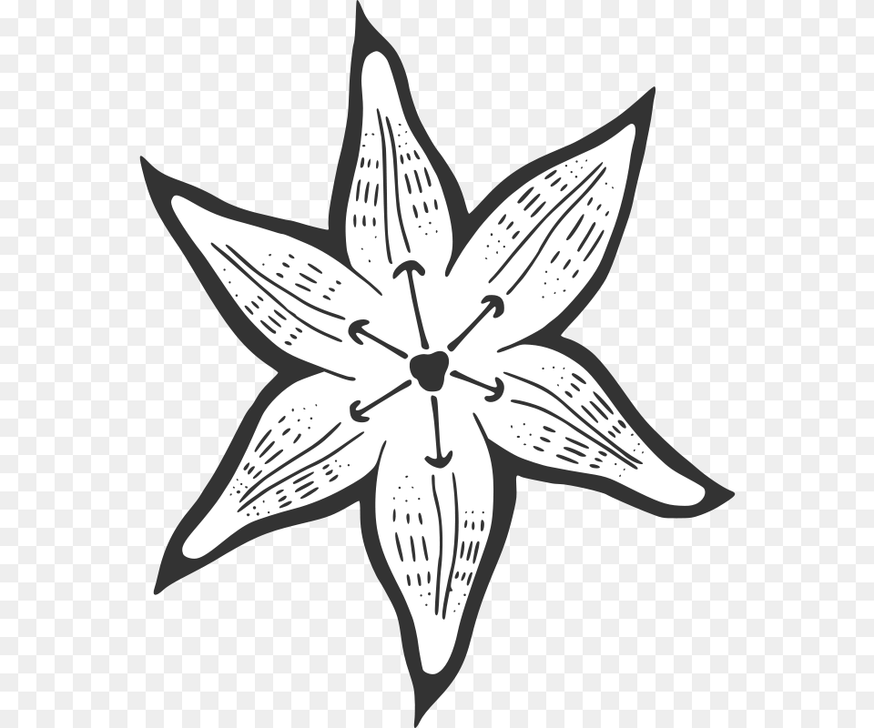 Transparent Easter Lily Clipart Black And White Clipart Outline Of A Lilypad Flower, Plant, Animal, Fish, Sea Life Png