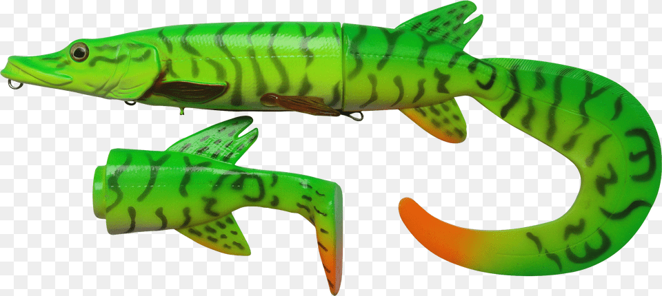 Transparent Eel Baby Green Northern Pike Free Png Download