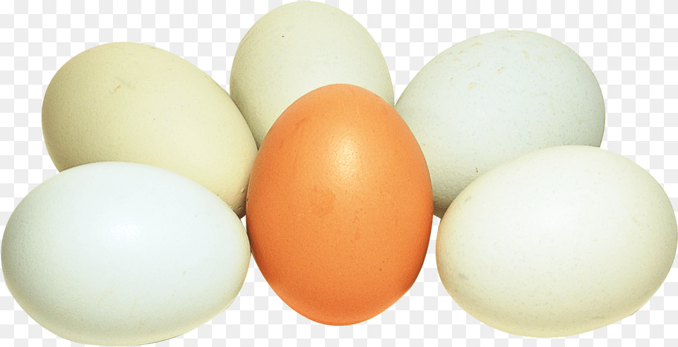 Transparent Eggs, Egg, Food, Easter Egg Png Image