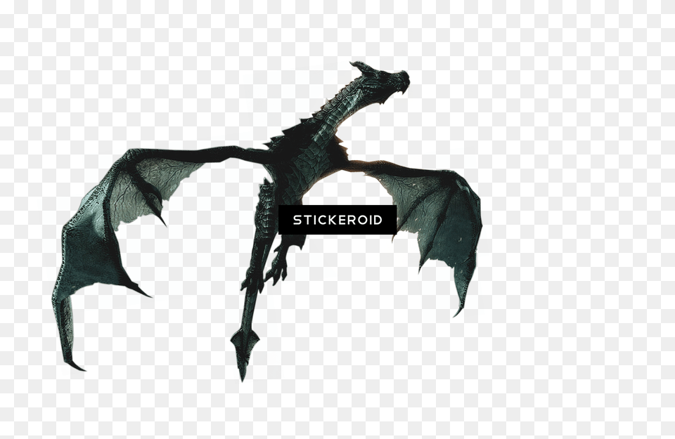 Transparent Elder Transparent Skyrim Dragon, Adult, Male, Man, Person Png Image