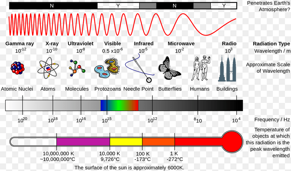 Transparent Electromagnetic Spectrum Clipart Radiation Waves, Animal, Bird Png