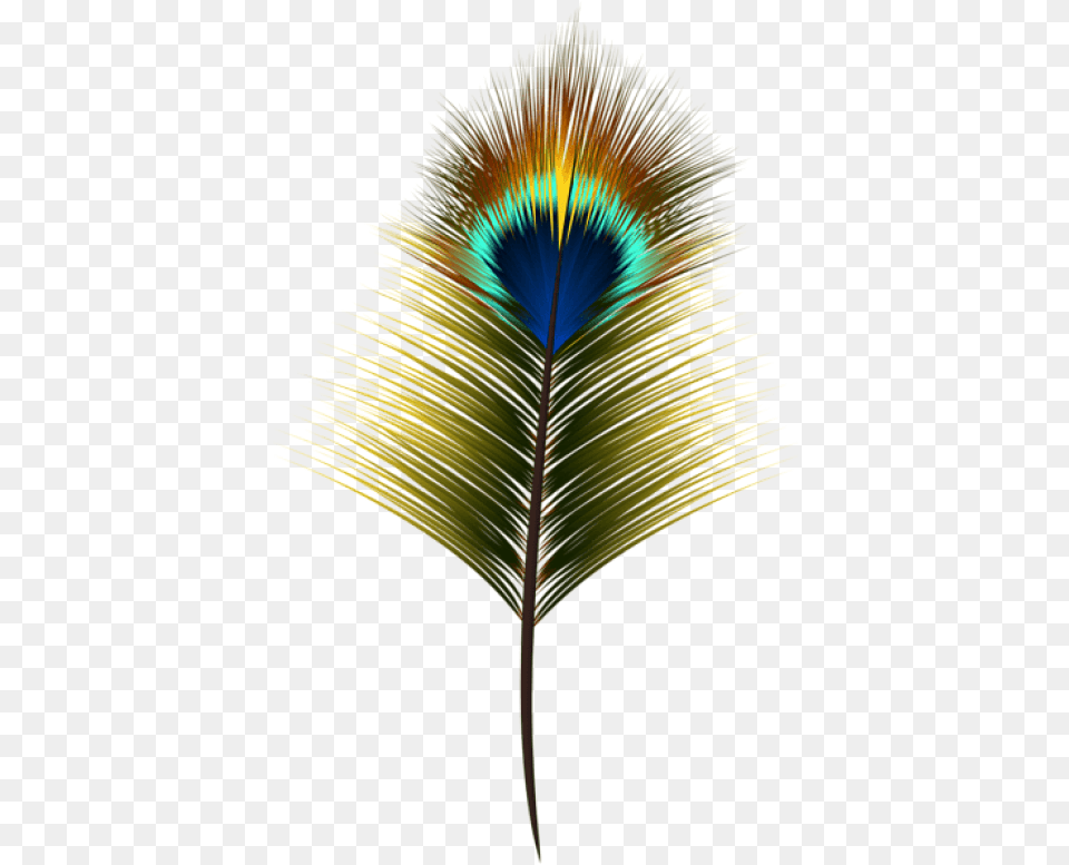 Transparent Elegant Heart Clipart Peacock Feather Clipart, Accessories, Plant, Pattern, Fractal Free Png Download