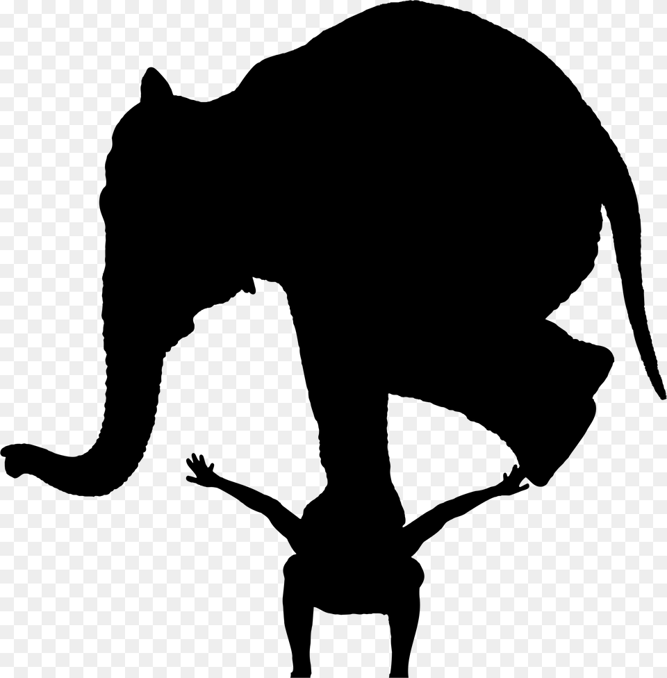 Transparent Elephant Clipart Black And White Face Girl Silhouette Head, Gray Png Image