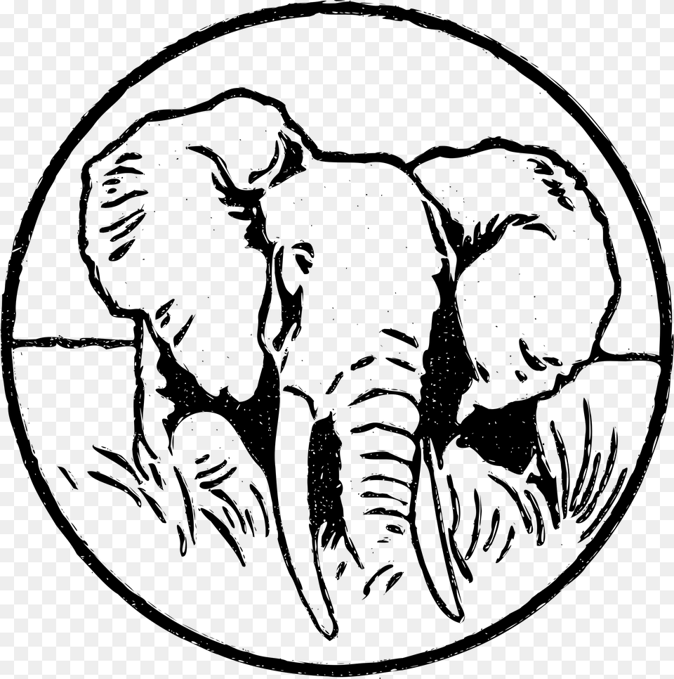 Transparent Elephant Head Clipart Indian Elephant, Gray Free Png